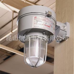 美标2区防爆灯VMV Series UL认证防爆灯具